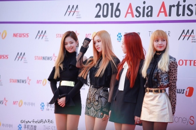 Asia_Artist_Awards_2016_2811729.jpg