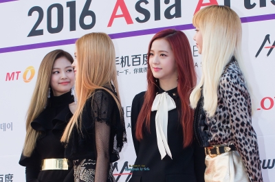 Asia_Artist_Awards_2016_2813429.jpg