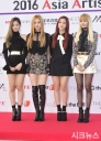 Asia_Artist_Awards_2016_283129.jpg