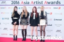 Asia_Artist_Awards_2016_287729.jpg
