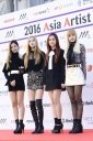 Asia_Artist_Awards_2016_287929.jpg