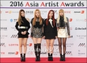 Asia_Artist_Awards_2016_289229.jpg