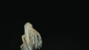 Coachella_2026_-00222.jpg