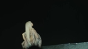 Coachella_2026_-00227.jpg