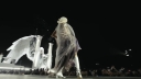 Coachella_2026_-00542.jpg