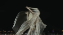 Coachella_2026_-00839.jpg