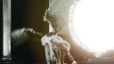 Coachella_2026_-01163.jpg