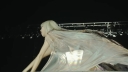 Coachella_2026_-01594.jpg