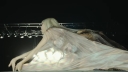 Coachella_2026_-01596.jpg