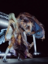Coachella_2026_281229.jpg