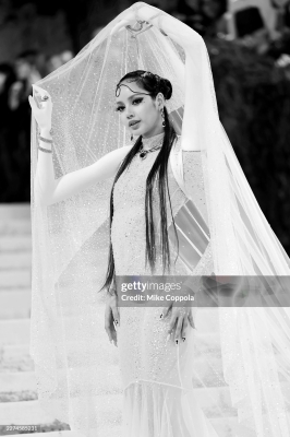 Met_Gala_2026_2813729.jpg
