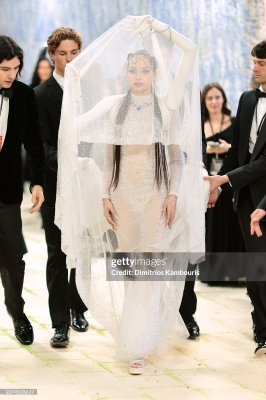 Met_Gala_2026_285229.jpg