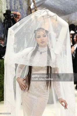 Met_Gala_2026_286229.jpg