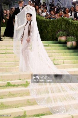 Met_Gala_2026_287229.jpg
