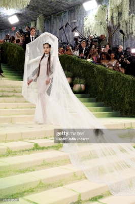 Met_Gala_2026_288829.jpg