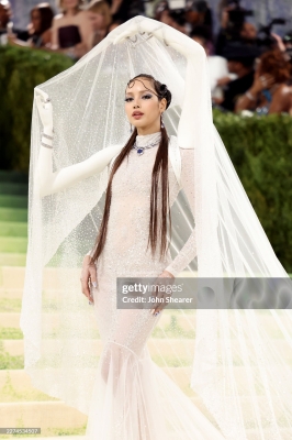 Met_Gala_2026_288929.jpg
