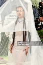 Met_Gala_2026_285329.jpg