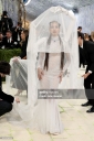 Met_Gala_2026_285529.jpg