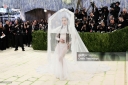 Met_Gala_2026_287629.jpg