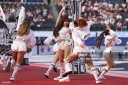 FIFA_World_Cup_2026_284329.jpg